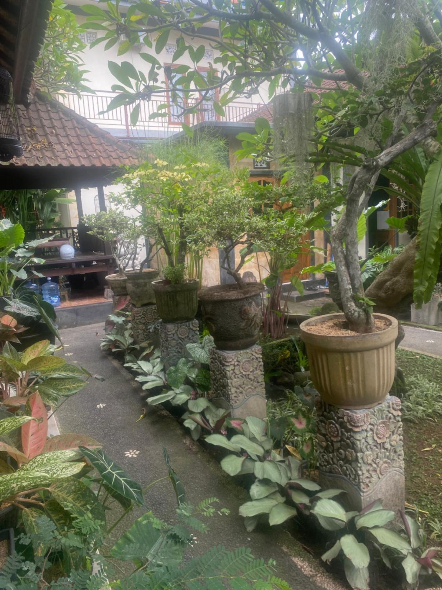 Gus Arditya Homestay Ubud Exterior foto