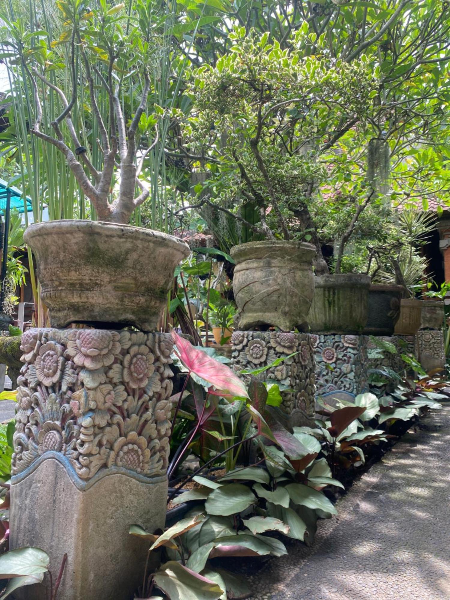 Gus Arditya Homestay Ubud Exterior foto