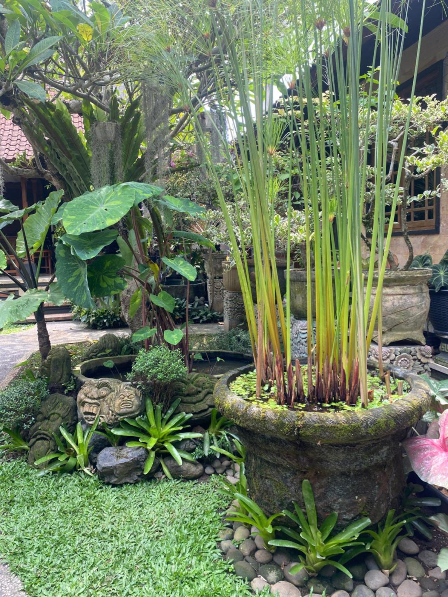 Gus Arditya Homestay Ubud Exterior foto